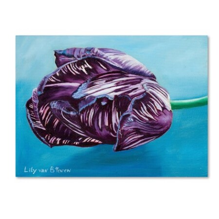 Trademark Fine Art